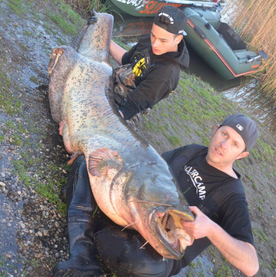 דייג עם סירות גומי KOLIBRI