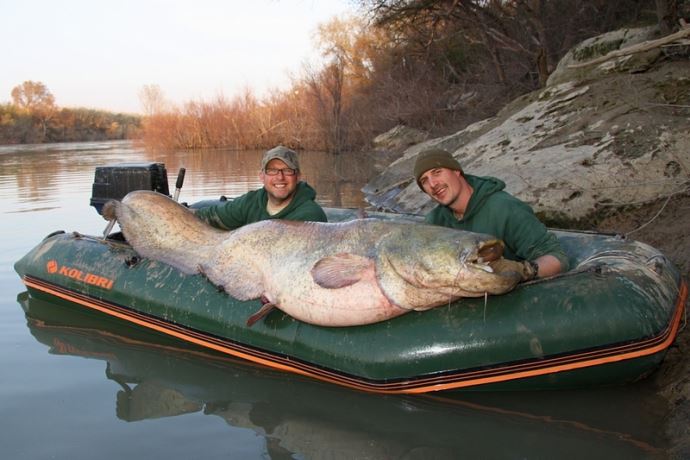 הגודל של (הסירה) לא קובע - סירות גומי קוליברי KOLIBRI