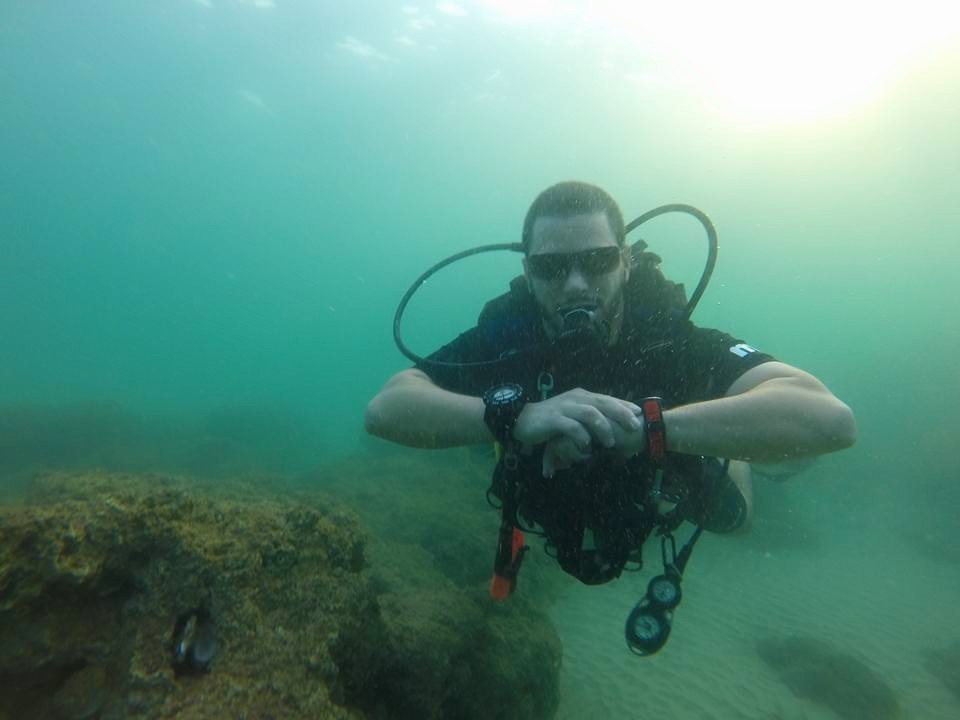 התמונה של דודו